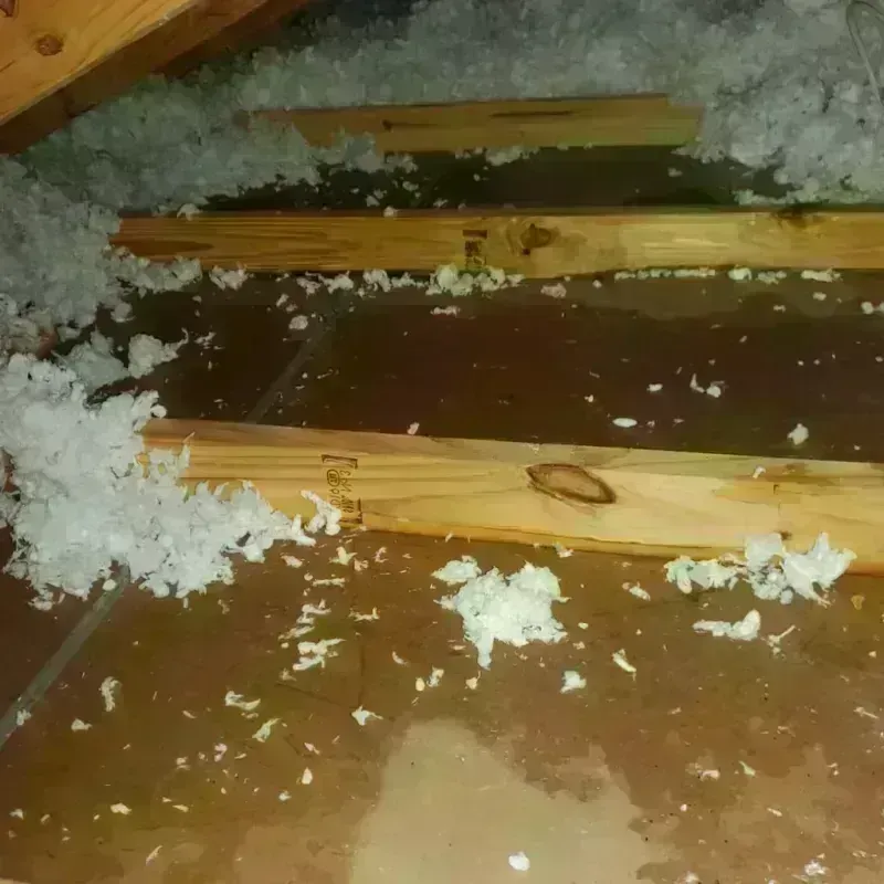 Attic Water Damage in Benld, IL