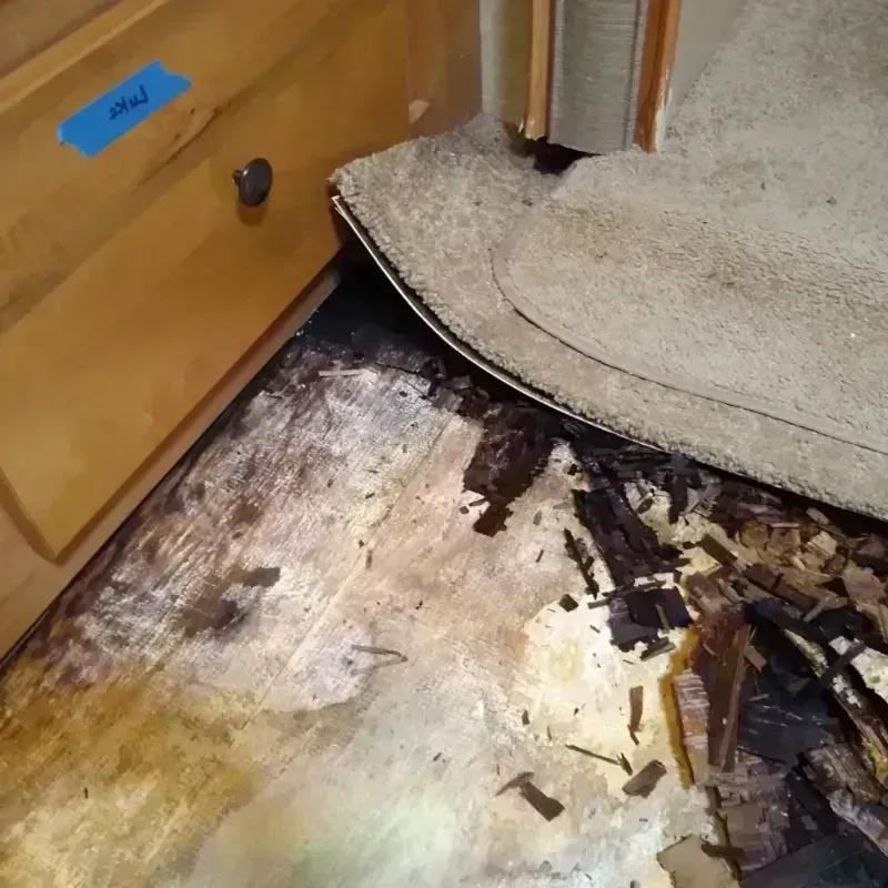 Best Wood Floor Water Damage Service in Benld, IL